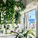 Accommodatie bij particulieren Light & Modern 3br *