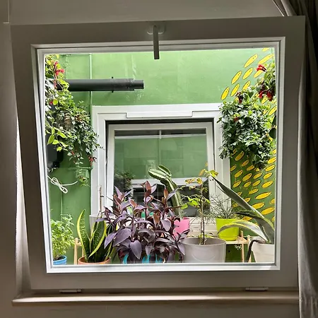 Light & Modern Garachico 3Br * Garachico (Tenerife)