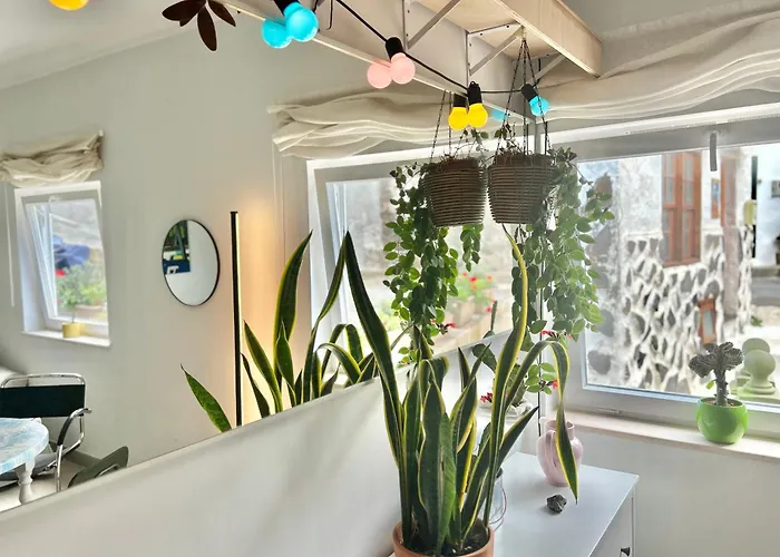 Light & Modern 3br 홈스테이 가라치코