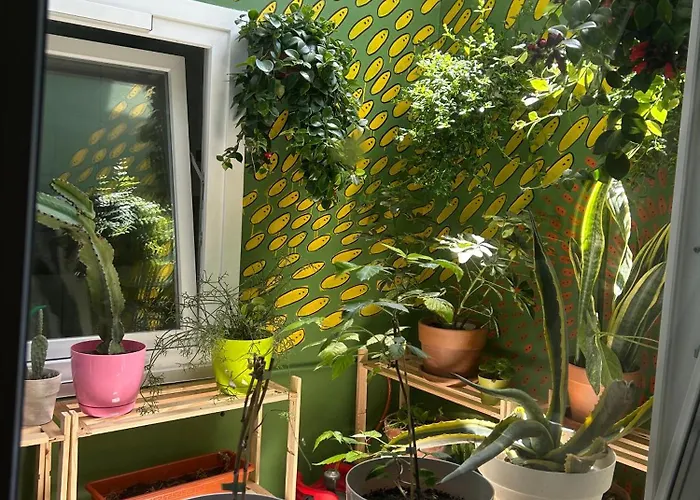 Quarto em Acomodações Particulares Light & Modern 3br Garachico (Tenerife)