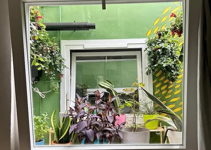 Light & Modern 3br * Garachico (Tenerife)