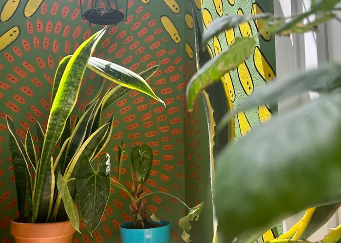 Light & Modern 3br * Garachico (Tenerife)