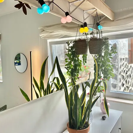 Light & Modern 3br Проживание в семье Гарачико