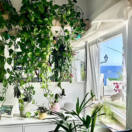 Séjour chez l'habitant Light & Modern 3br *