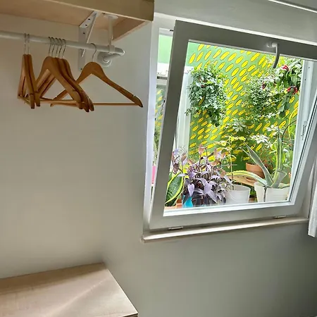 Séjour chez l'habitant Light & Modern 3br *