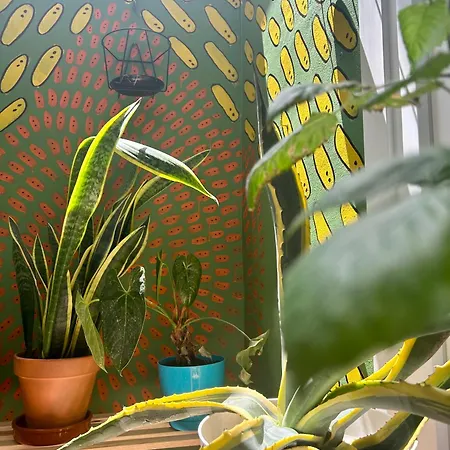 Light & Modern 3br * Гарачико