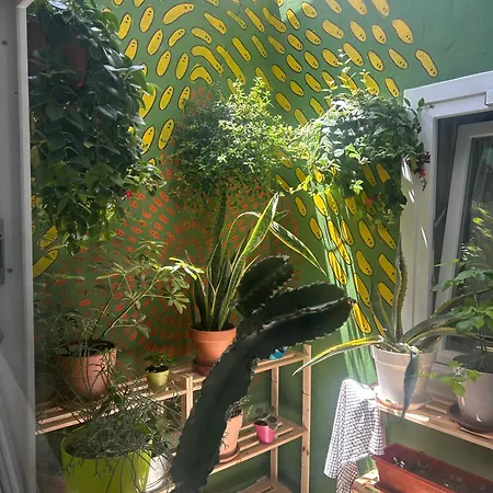 Séjour chez l'habitant Light & Modern 3br *