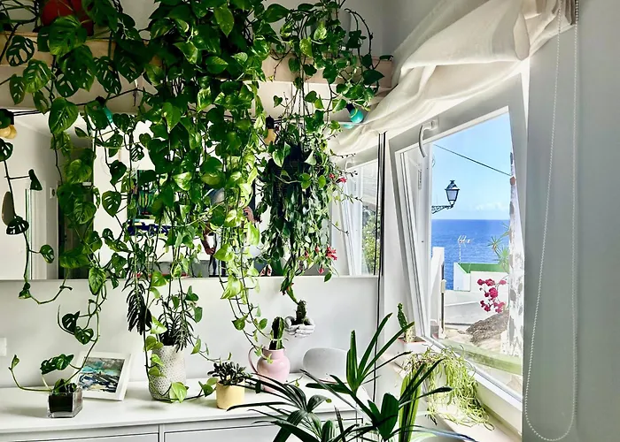 Kwatera prywatna Light & Modern 3br *