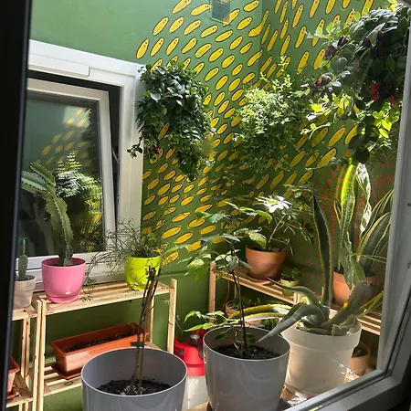 Pansiyon Light & Modern 3br Garachico (Tenerife)